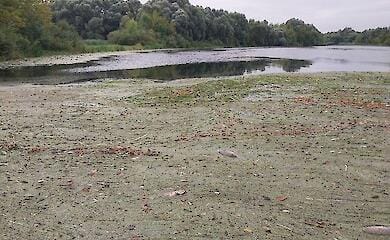 В Минприроды назвали истоки загрязнения реки Сейм