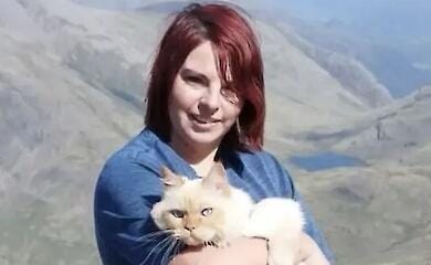Кот и женщина