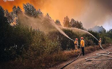 Еколог про пожежі та радіацію в Чорнобильській зоні: дим може попрямувати в бік Білорусі