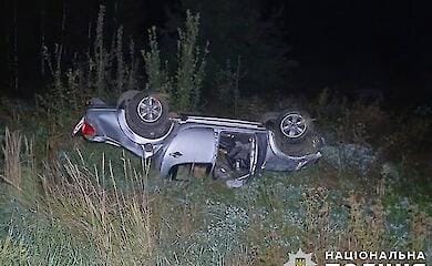 На Житомирщині ДТП сталася через дикого кабана: двоє людей загинули