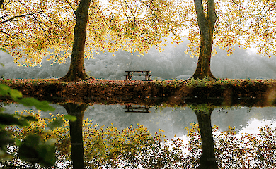 Синоптик попередила, що бабиного літа в Україні цього року може не бути