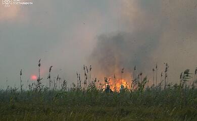 На Полтавщині лісова пожежа продовжує поширюватися
