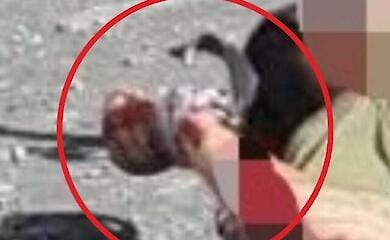 Рука человека