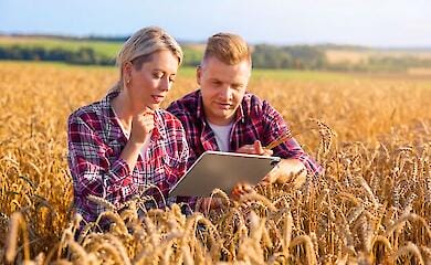 Український агросектор у 2024: вакансії для ветеранів і не тільки на платформі AgriAnalytica