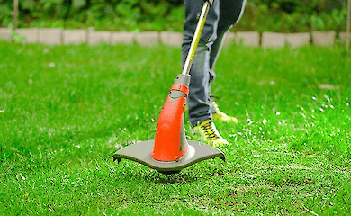 Как обустроить газон для активных игр и спортивных занятий