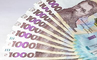 Пидласа сообщила о неравномерности прожиточного минимума