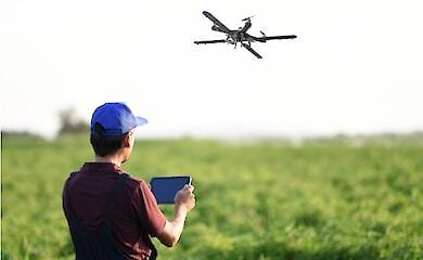 Опитування: Ветерани масово обирають агросферу для бізнесу та працевлаштування &mdash; ключові напрями та можливості