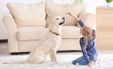 Як собаки підтримують розвиток та благополуччя дітей: три наукові докази