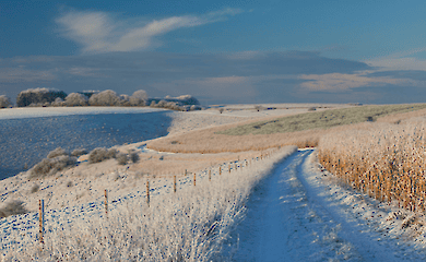 Сезонний афективний розлад: більше, ніж просто осіння хандра