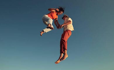 "Скажи мені, хто твій друг": як соціальні контакти впливають на мікробіом кишечника