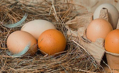В Україні оголосили перевірку після різкого подорожчання курячих яєць