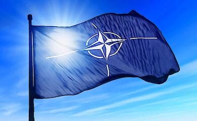 Украина призвала НАТО пригласить ее в Альянс в декабре 2024 года