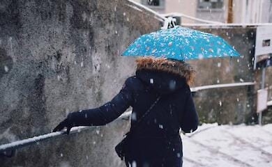 Прогноз погоды на 20 декабря: дождь и снег