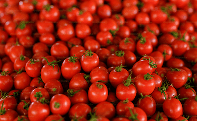 Для тех, кто любит томатный сок: три вкусных рецепта 