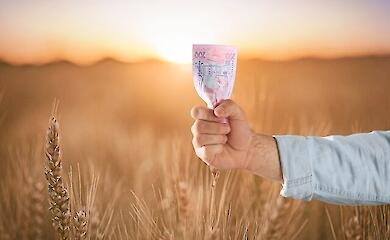 Як отримати ветеранам до 1 млн. грн на агробізнес 