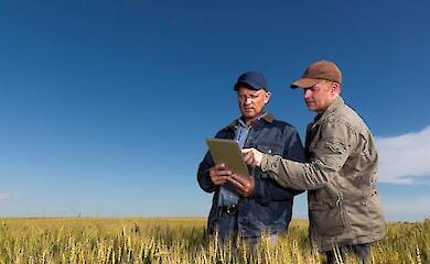 Як ветеранам розпочати стартап та знайти на це кошти