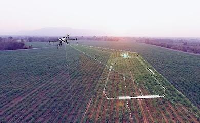 Які технології для агробізнесу здатні збільшити врожайність на 30-40%