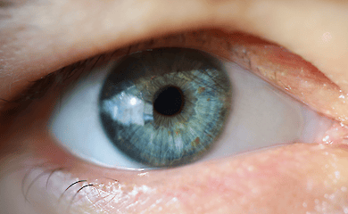 Секрет зрачка: как мозг сортирует воспоминания во сне