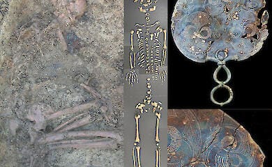 Генетики розкрили таємниці матріархату в Залізному віці в Британії