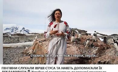 Пінгвіни слухали Стуса: як українські полярники популяризують культуру навіть в Антарктиді