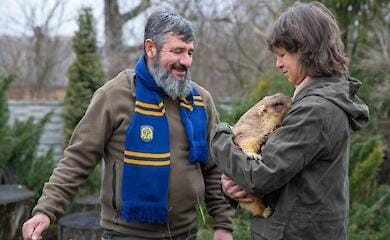 Суспильне Харьков