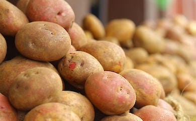 В Україні на 10% подешевшала картопля: скільки вона зараз коштує