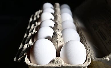 Ценовые качели: подсолнечное масло дорожает, а яйца дешевеют