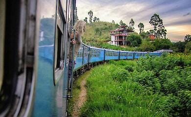 На Шри-Ланке попытка сделать фото закончилась смертью для женщины