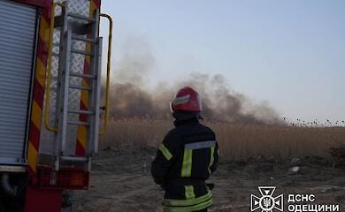 В Одесской области масштабный пожар из-за загоревшейся травы
