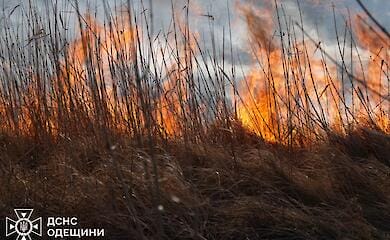 В Одесской области масштабный пожар: из-за ветра огонь перекинулся на нацпарк