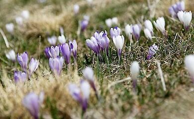 Якою буде погода на вихідних в Україні