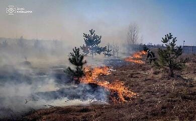 В Киевской области из-за поджога травы едва не погибли трое детей
