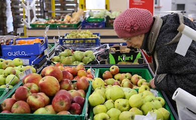 Продуктові сільськогосподарські ярмарки в Києві