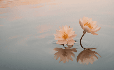 Что чувствуют люди перед смертью? Ученые обнаружили нечто общее для всех