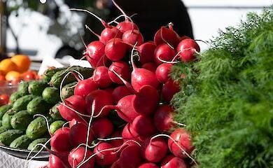 У Києві з 8 до 13 квітня відбудуться продуктові сільськогосподарські ярмарки: список локацій