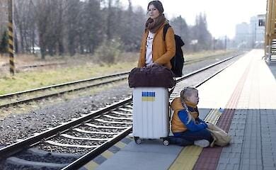 Защита беженцев из Украины должна продолжаться до устойчивого мира - Минединства