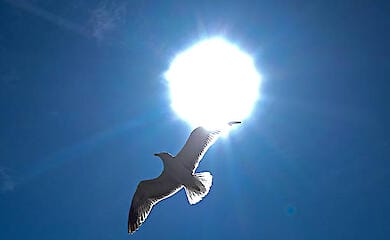 Глобальное потепление может сократить мировой ВВП на 40%