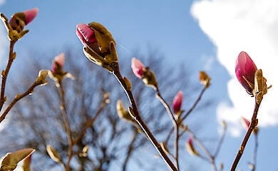 Тепло до +26 і місцями грози: синоптики розповіли про погоду в Україні 21 квітня