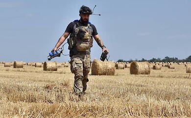 В Україні очікується найнижчий урожай пшениці за 13 років