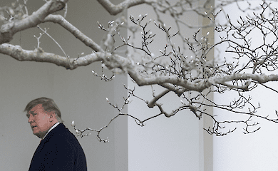 Трамп примерил на себя роль Папы Римского