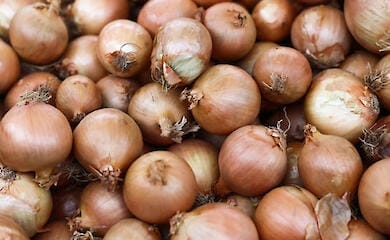 Фермерам доведеться викидати цибулю: продукція масово псується на складах