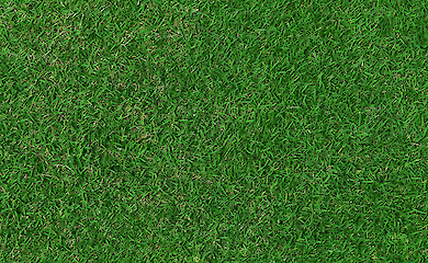 Пятна от травы на одежде: пять способов вывести их 