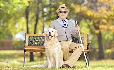 Нові можливості для людей із порушенням зору: новий проєкт Мінсоцполітики