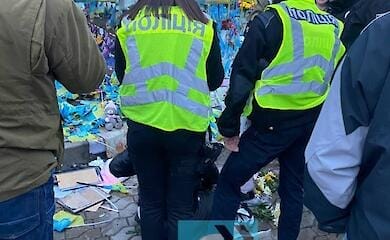 У Києві 33-річна жінка осквернила Алею Героїв: відео та фото з місця подій