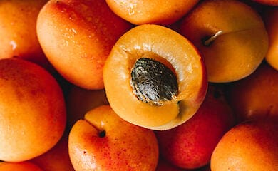  Урожай абрикосів у Європі скоротиться на 10% 