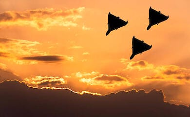 Атака на Київ: уламки дрона впали на територію школи в Дарницькому районі