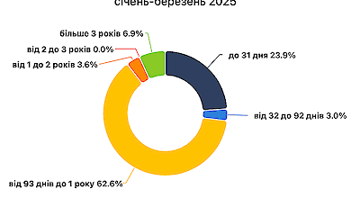 Українці беруть частіше, але в менших сумах: тривожна статистика мікропозик