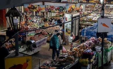 Продукти в Україні за рік подорожчали на 22%, деякі – у 4 рази більше