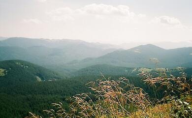 У районі Говерли розглядають можливість будівництва канатної дороги