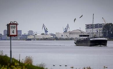 У порту Амстердама вилучили 4,5 тонни кокаїну, заховані серед вантажу